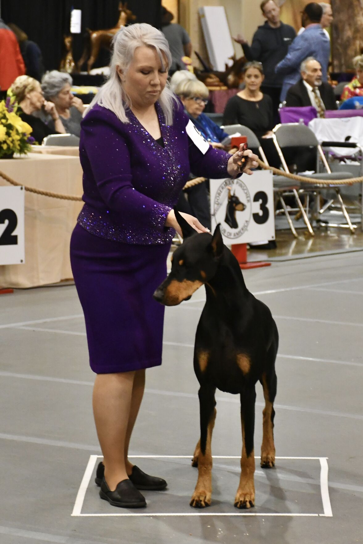 Dog show 10.JPEG